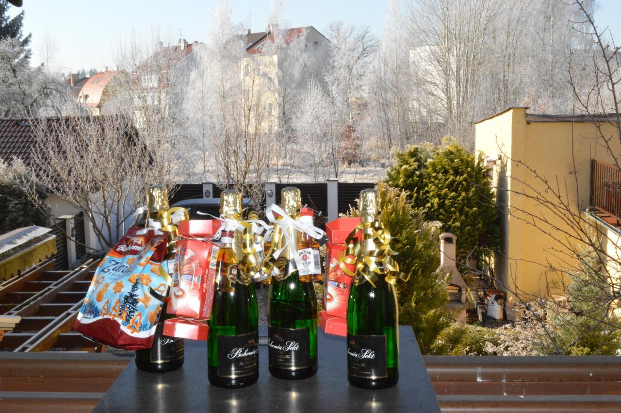 Apartment Pension Stark Františkovy Lázně Buitenkant foto