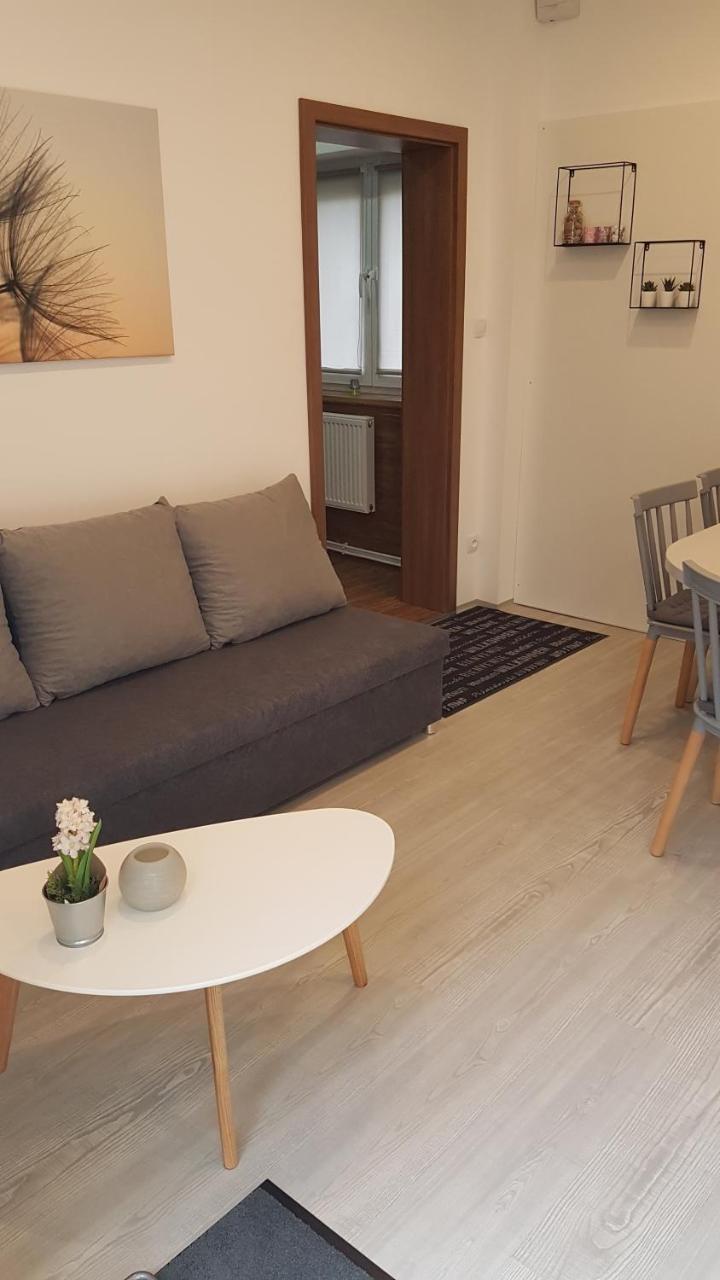 Apartment Pension Stark Františkovy Lázně Buitenkant foto